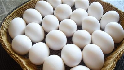 طرح البيض بأسعار مخفضة بمنافذ الشركة القابضة للصناعات الغذائية