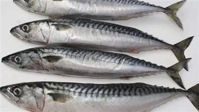 السمك الروسي يغزو الأسواق المصرية بسعر مغري 