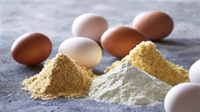 بيان عاجل من الحكومة بشأن البيض البودرة