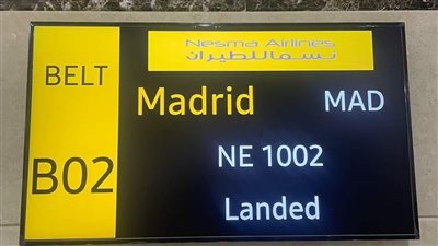 مطار سفنكس يستقبل رحلة قادمة من مدريد تقل 176 راكبا