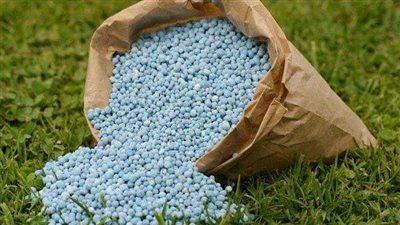 هيئة السلع التموينية تسعى لشراء قمح في ممارسة دولية