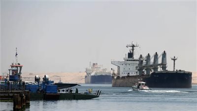 مصر تتعاقد على استيراد 25 ألف طن من الدواجن البرازيلية المجمدة