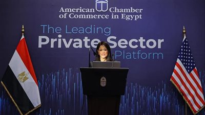 المشاط: توفير 7 مليارات دولار من خلال الشراكات الدولية للقطاع الخاص