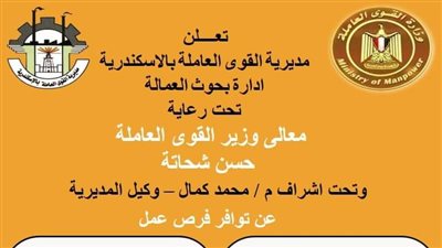 القوى العاملة: توفير فرص عمل للشباب بالأسكندرية