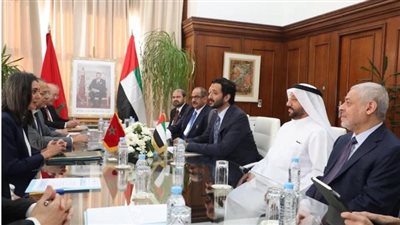 أيميا باور الإماراتية تفوز بعقد بناء محطتين لتوليد الكهرباء من الطاقة الشمسية بالمغرب