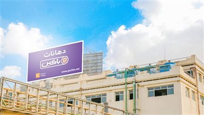 صفقة الـ770 مليون جنيه.. «الأصباغ الإماراتية» تستحوذ على 81% من باكين المصرية