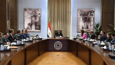 منها 3 بنوك.. مدبولي يناقش مستجدات تنفيذ برنامج الطروحات الحكومية بحضور محافظ ” المركزي ”