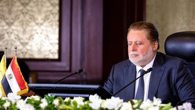 محافظ البنك المركزي: لا يمكن تثبيت سعر صرف الجنيه حاليا