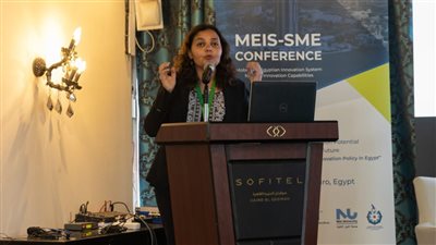 مبادرة رواد النيل تنظم  مؤتمرا حول دعم قدرات الإبتكار للشركات الصغيرة والمتوسطة في مصر