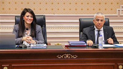 التعاون الدولي: توفير منح بقيمة 483 مليون دولار خلال  2022 لمختلف القطاعات