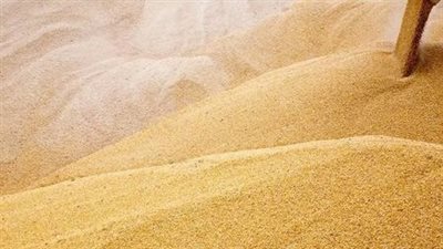 هيئة السلع التموينية في مصر تسعى لشراء قمح في ممارسة دولية