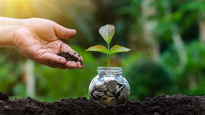 مركز معلومات مجلس الوزراء: القطاع المصرفي يُساهم بشكلٍ واسع في التمويل الأخضر المُستدام