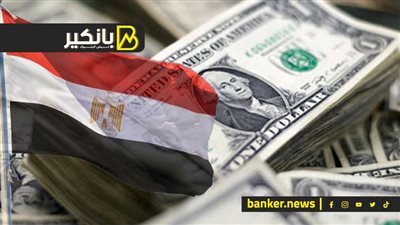 ملك العملات يترنح.. مصر تحاول القبض على الدولار