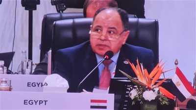 وزير المالية: نحتاج لتحديث سياسات البنوك الدولية لتوفير موارد مالية إضافية مبتكرة وميسرة