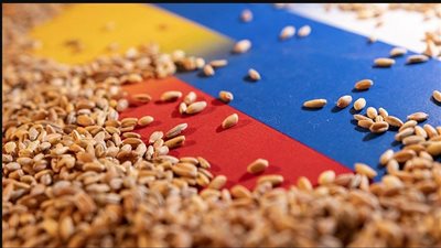 وقف روسيا لاتفاق الحبوب يهدد بزيادة أسعار المواد الغذائية خاصة في دول أفريقيا