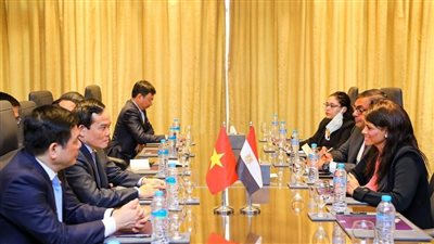 المشاط تبحث تعزيز التعاون مع نائب رئيس وزراء فيتنام خلال زيارته لمصر