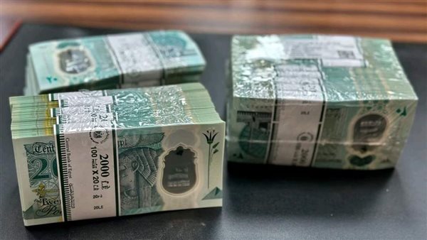 20 جنيه البلاستيكية