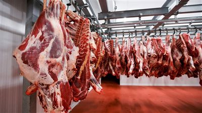 التموين تعلن أسعار اللحوم خلال عيد الأضحى