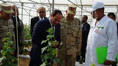 أول رد في مصر على خراب مشروع ضخم في قاعدة عسكرية