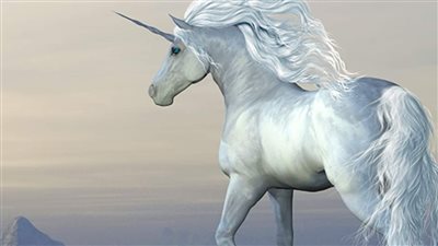 شركات اليونيكورن تغزو الشرق الأوسط