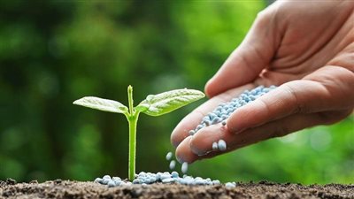 روسيا تفكر في توحيد تجارة الأسمدة لتعزيز قوة التسعير