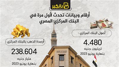 أرقام وبيانات تحدث لأول مرة في البنك المركزي المصري