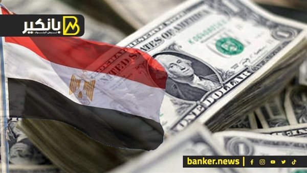 الدولار