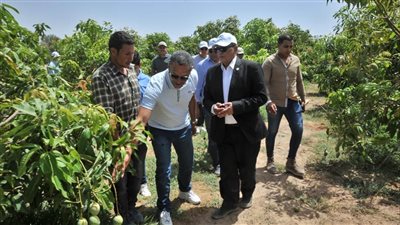 رئيس شركة الريف المصري الجديد: تشجيع الاستثمارات الخضراء فى مختلف الأراضي