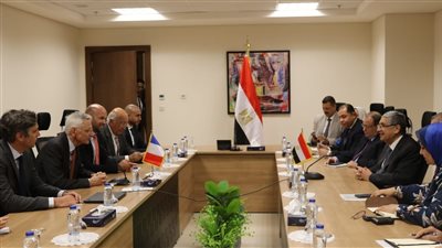 وزير الكهرباء يبحث مع رئيس شركة إى دى إف بالشرق الأوسط تعزيز التعاون الثنائي