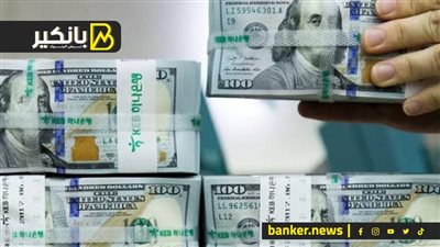 ثعالب الدولار.. مصيبة ونزلت على تجار السوق السوداء