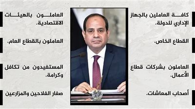 9 فئات تستفيد من قرارات الرئيس السيسي بزيادة الدخل والأجور