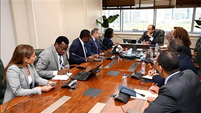 البنك الأفريقي للتصدير والاستيراد: واثقون في نجاح مصر في استضافة معرض التجارة البينية