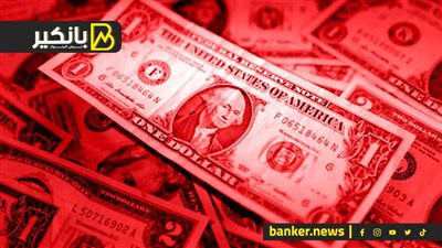 حكاية الدولارات الحرام في مصر.. الدولة فين من اللي بيحصل؟