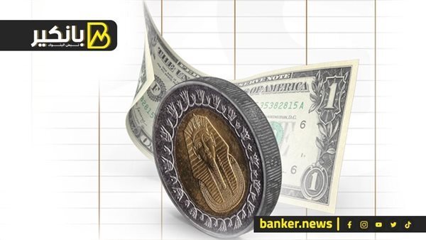 سعر الدولار اليوم