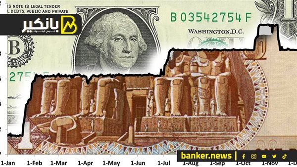 سعر الدولار اليوم