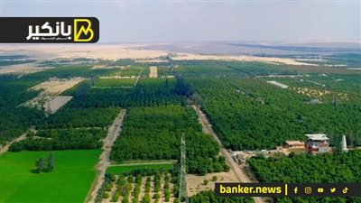 لزيادة الإنتاج ورفع معدلات التصدير.. مشاريع زراعية قومية في الإسماعيلية