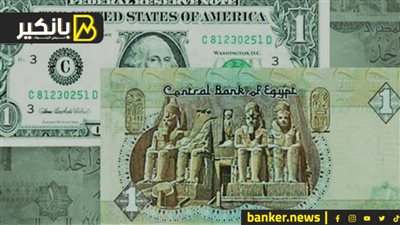 موازنة النواب تستبعد التعويم قبل انتخابات الرئاسة.. وتقرير يتوقع وصول الدولار لـ 35 جنيها بنهاية العام