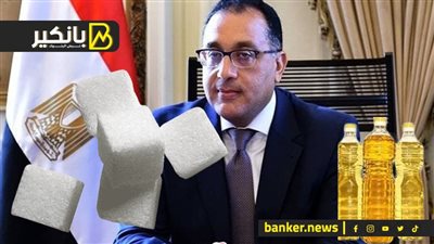 الحكومة: 1.3 مليار دولار قيمة السلع الغذائية والأدوية والأعلاف الموجودة بالجمارك