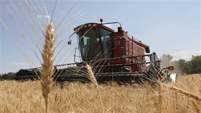 متعاملون: مصر تجري محادثات للحصول على تمويل إماراتي لشراء قمح من قازاخستان