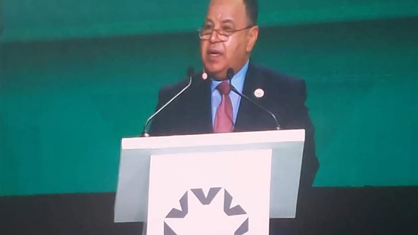 محمد معيط وزير المالية