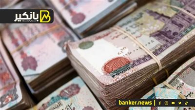 تراجع نشاط التمويل الأصغر بنهاية يوليو 2023 والقطاع الزراعي يستحوذ على 53%