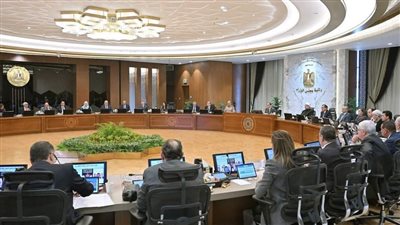 مجلس الوزراء يوافق على 1600 جنيه سعراً استرشادياً لتوريد أردب القمح