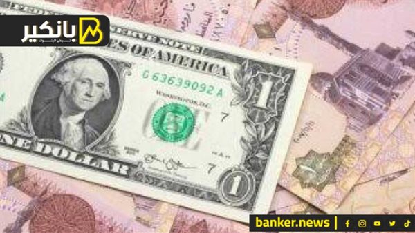 سعر الدولار اليوم