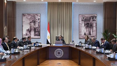 مدبولي يوجه بسرعة طرح المشروعات على القطاع الخاص مع خطة ترويجية لها