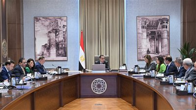 بحضور حسن عبدالله.. توجيهات عاجلة من مدبولي للمجلس التنسيقي للسياسات النقدية والمالية