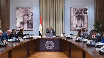 رئيس الوزراء يؤكد الاهتمام بتطوير وإعادة هيكلة بنك الاستثمار القومي