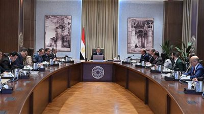 مدبولي يوجه بسرعة الانتهاء من تحديث استراتيجية الطاقة بوجه عام وكذا سرعة اعتماد استراتيجية الهيدروجين الأخضر