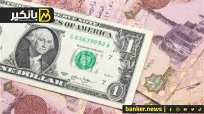 سعر الدولار أمام الجنيه المصري في تعاملات اليوم السبت 11-11-2023