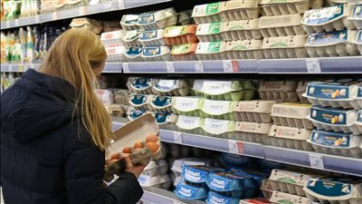 تباطؤ معدلات التضخم إلى 3.1% خلال أكتوبر في كندا