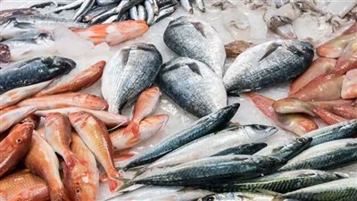 بيان عاجل من الحكومة بشأن تداول أسماك نافقة بالأسواق